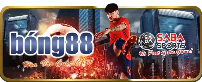 Cá cược thể thao betvnd9 code